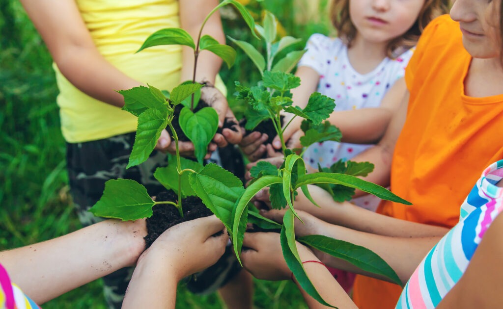 Future-Ready Careers Series: Exploring Sustainability Pathways for Students